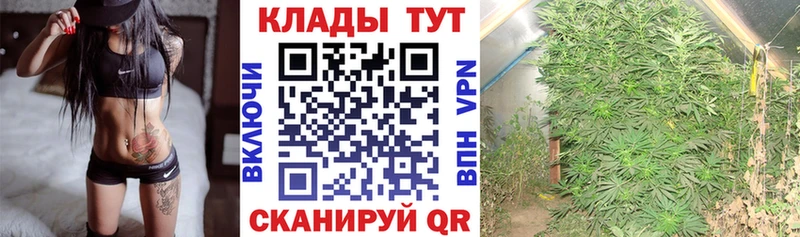 Все наркотики Завитинск ГАШИШ  Альфа ПВП  Мефедрон 
