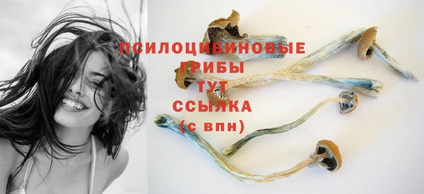 бошки Мегион