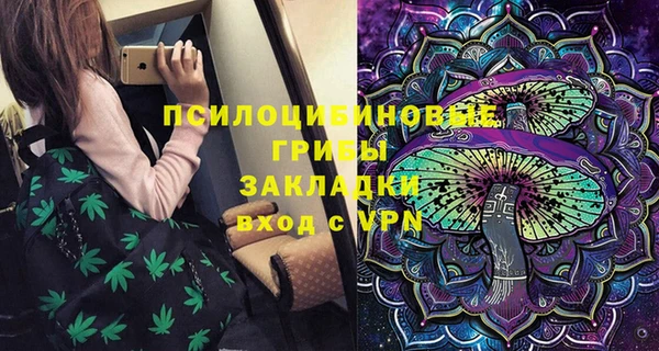 бошки Мегион