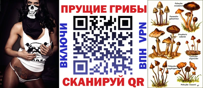 omg   Завитинск  Псилоцибиновые грибы мицелий 
